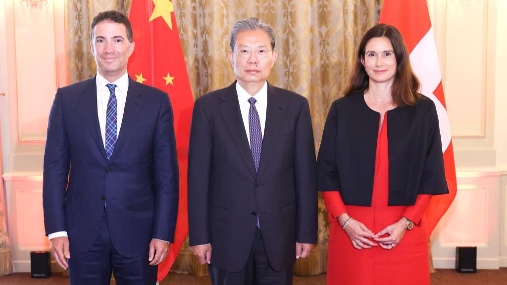 China's top legislator urges deeper partnership with Switzerland